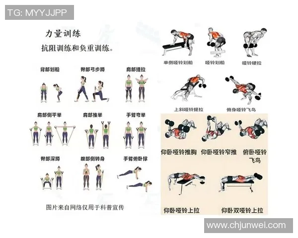 有氧运动助力健康生活:从基础入门到进阶训练全面解析 有氧运动助力健康生活:从基础入门到进阶训练全面解析
