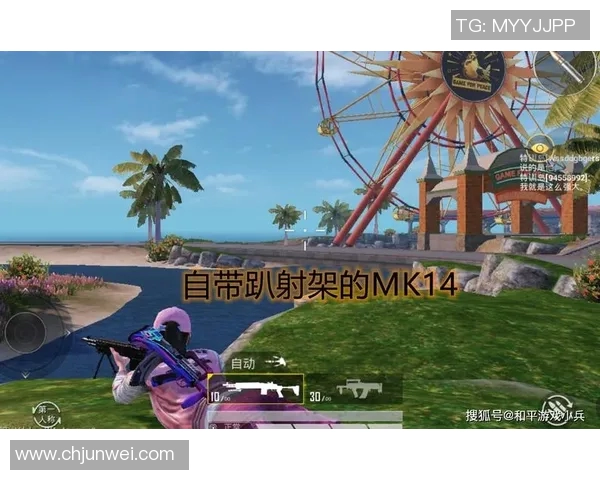 和平精英评论:LNG在阵地战中的优势与不足分析 和平精英评论:LNG在阵地战中的优势与不足分析