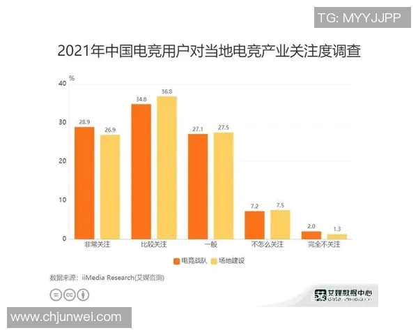 V5战队在数据分析中的耐力表现探讨与深度解读