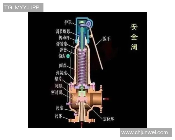 水管阀门的功能与维护技巧解析，确保家庭水系统高效安全运行
