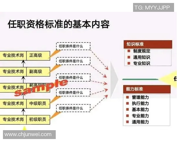 深入探讨V5团队协作表现的数据分析与优化策略